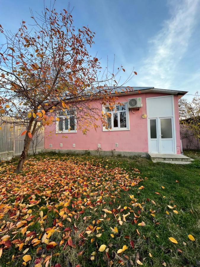 Qafqaz Resort Family House Kebele Dış mekan fotoğraf