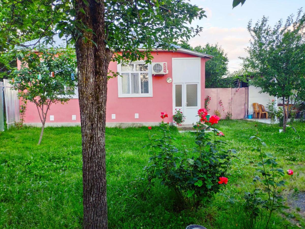 Qafqaz Resort Family House Kebele Dış mekan fotoğraf